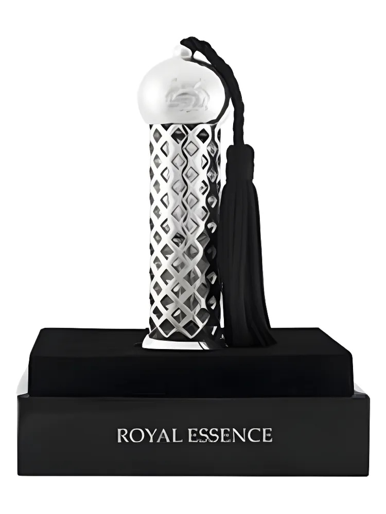 Tolla Pegasus for men