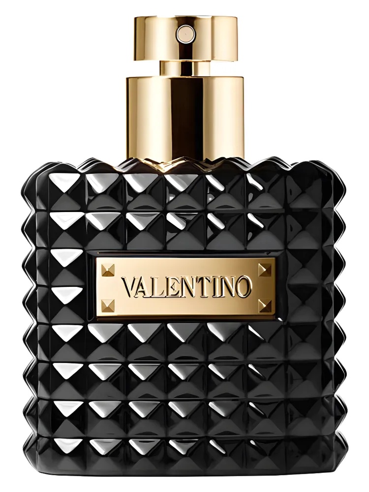 Valentino Donna Noir Absolu for women